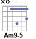 Аккорд Am9-5