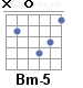 Аккорд Bm-5